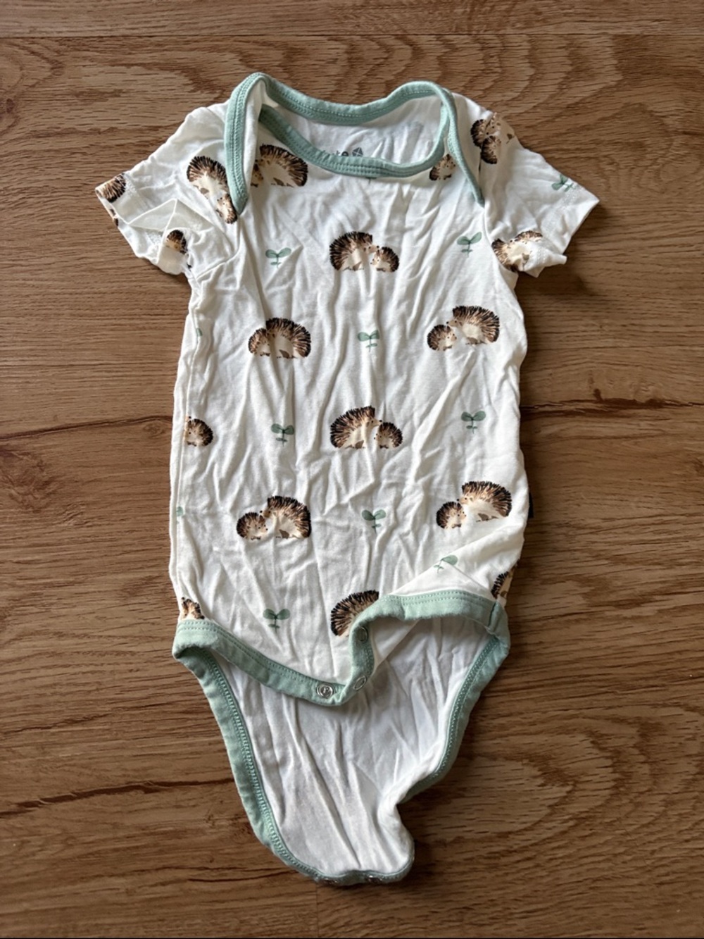 Kyte Baby One-Piece Bodysuit with Porcupine Print - White & Mint